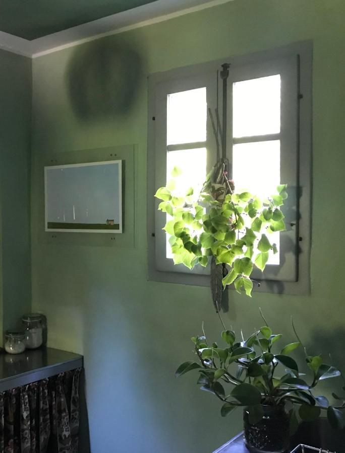 Casina Morgana B&B Novafeltria エクステリア 写真