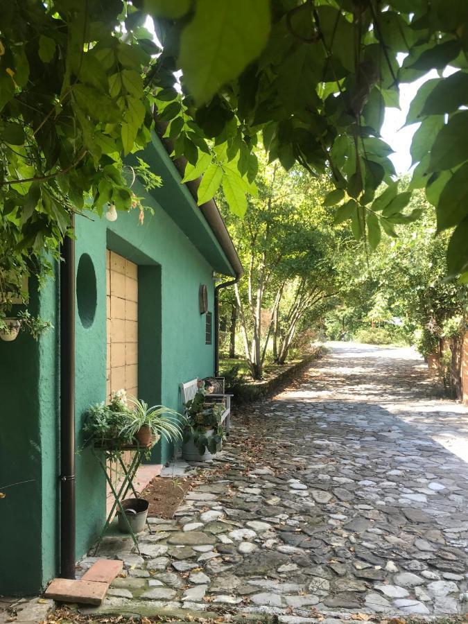 Casina Morgana B&B Novafeltria エクステリア 写真