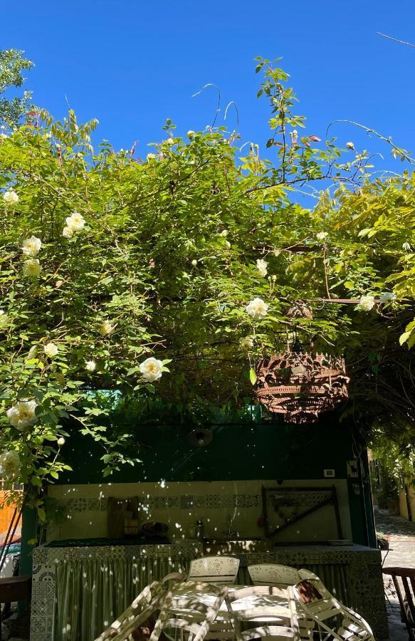 Casina Morgana B&B Novafeltria エクステリア 写真