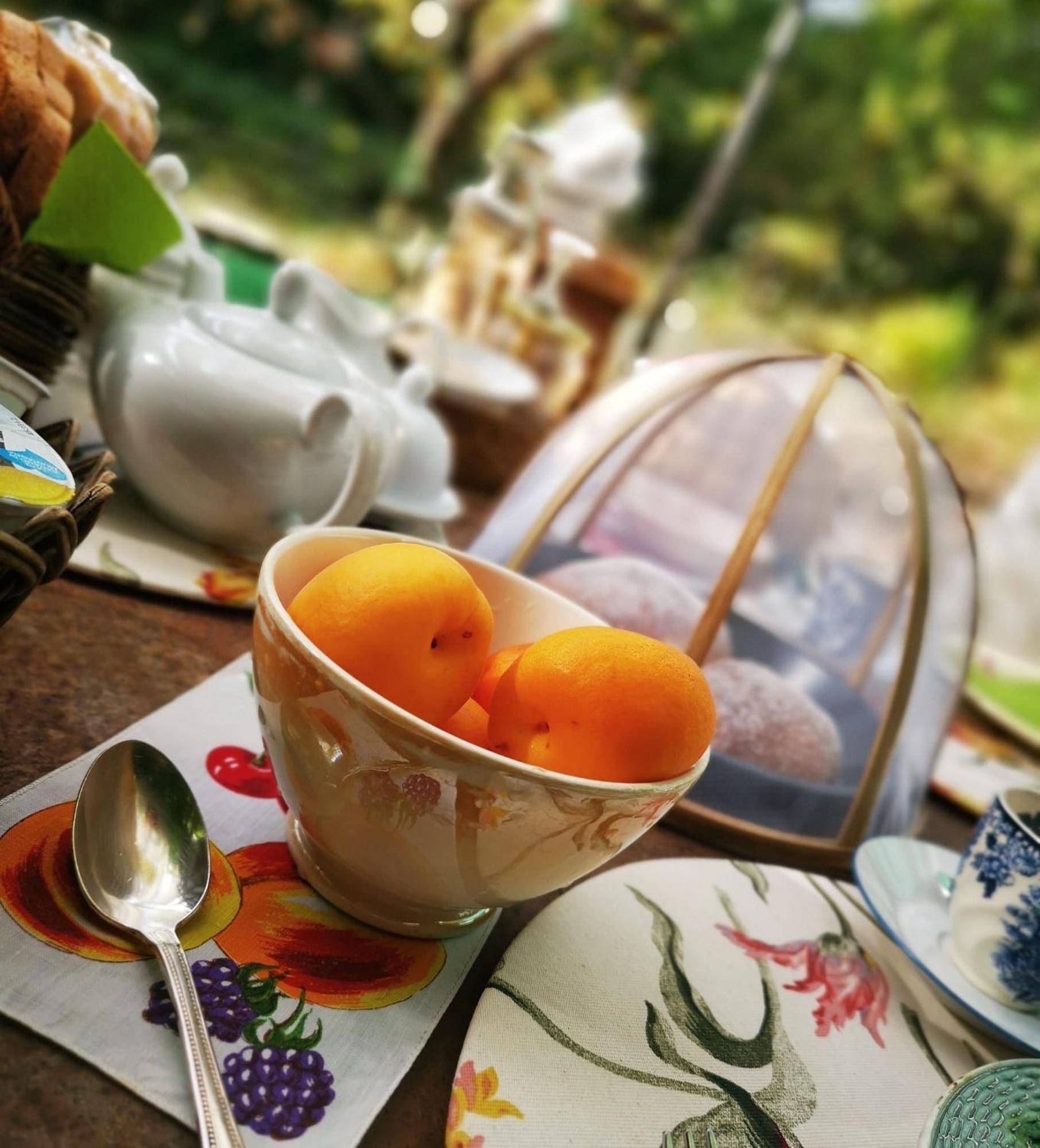 Casina Morgana B&B Novafeltria エクステリア 写真