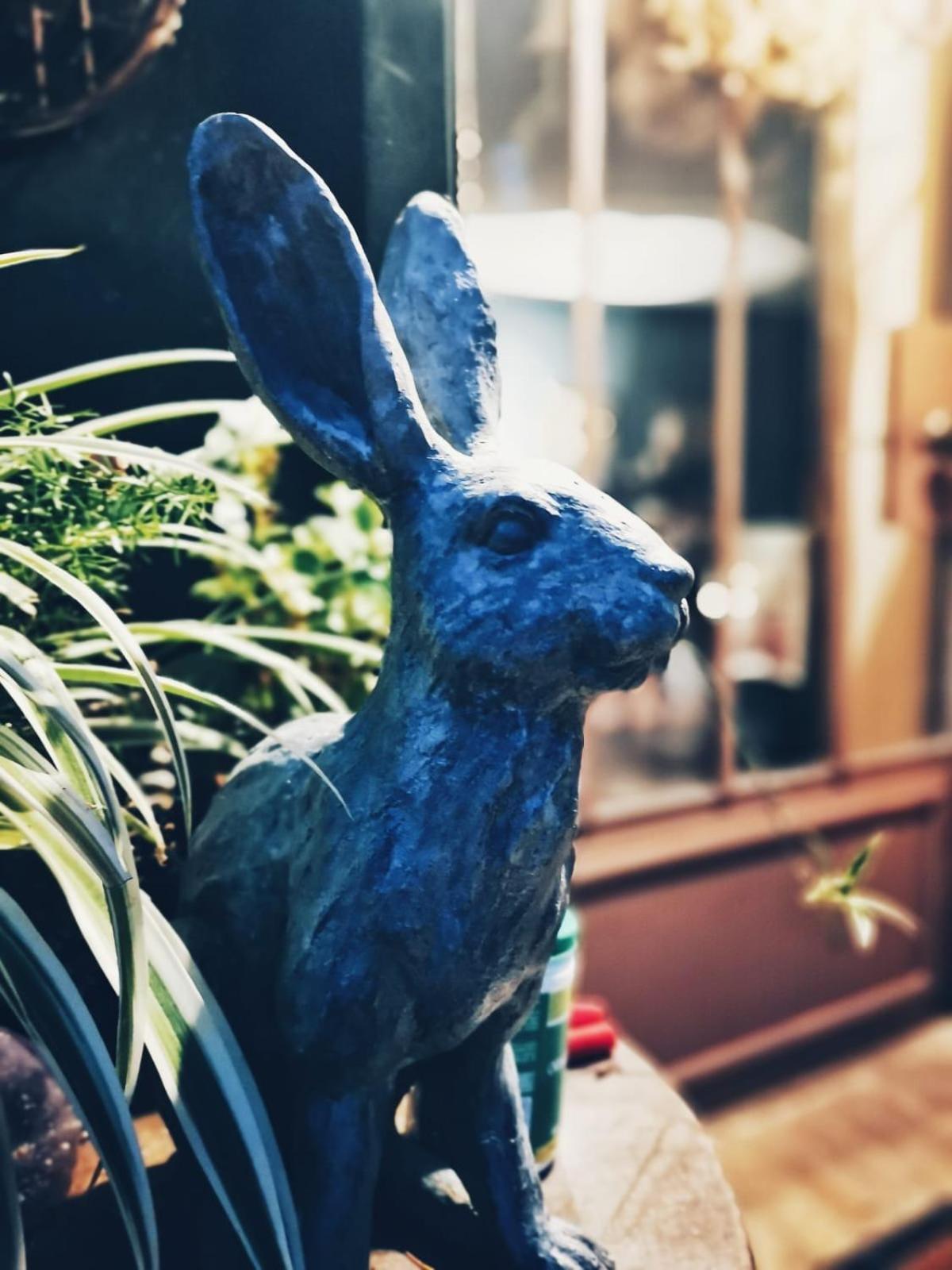 Casina Morgana B&B Novafeltria エクステリア 写真